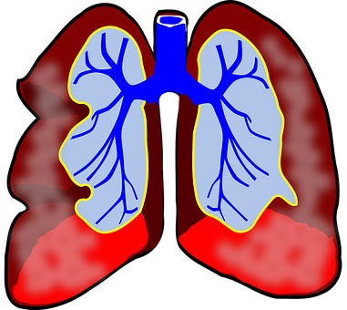 Asthma,breathing.allergies,infections,flu,cold,medications, medication like Qvar,flovent,pulmicort,liquid medication, nebulizer